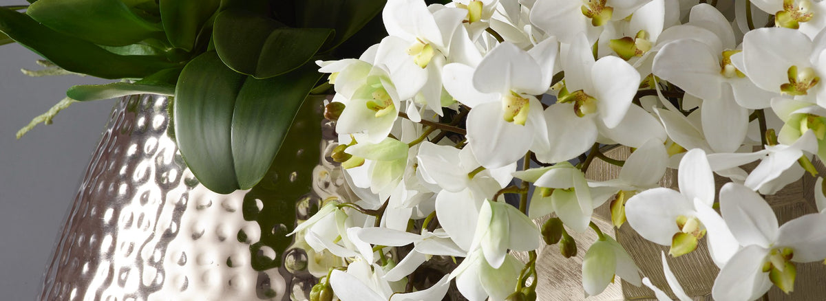 Close-up of realistic real-touch faux orchids by Demmerys
