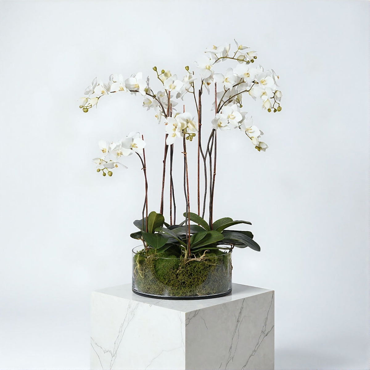 Luxury real-touch artificial white orchids in a glass cylinder, styled for a living room