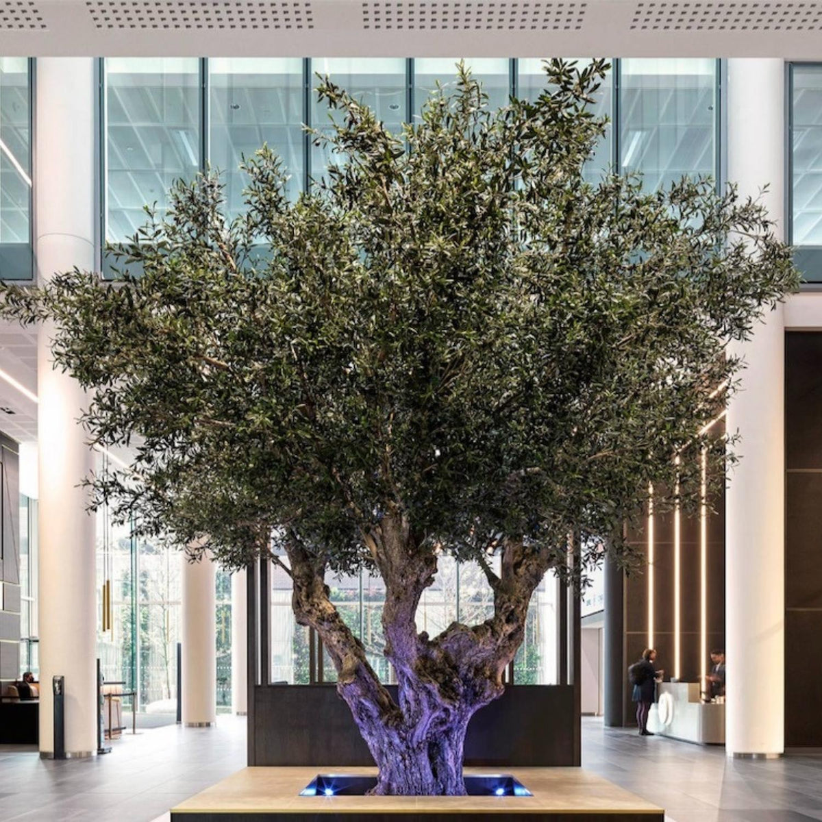 The Future of Artificial Trees in B2B Interior Design