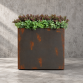 Boxwood Purple & Jacobaea Mix in Felton Planter