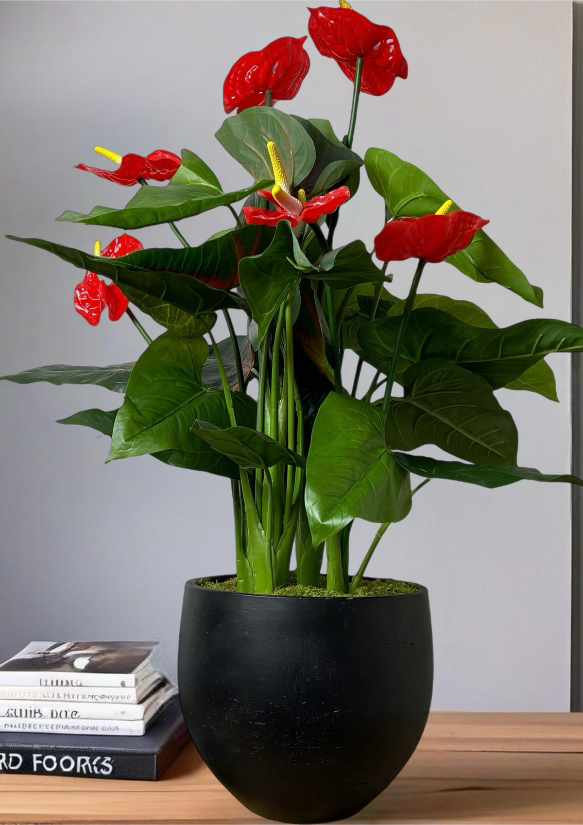 Red Anthurium Planter