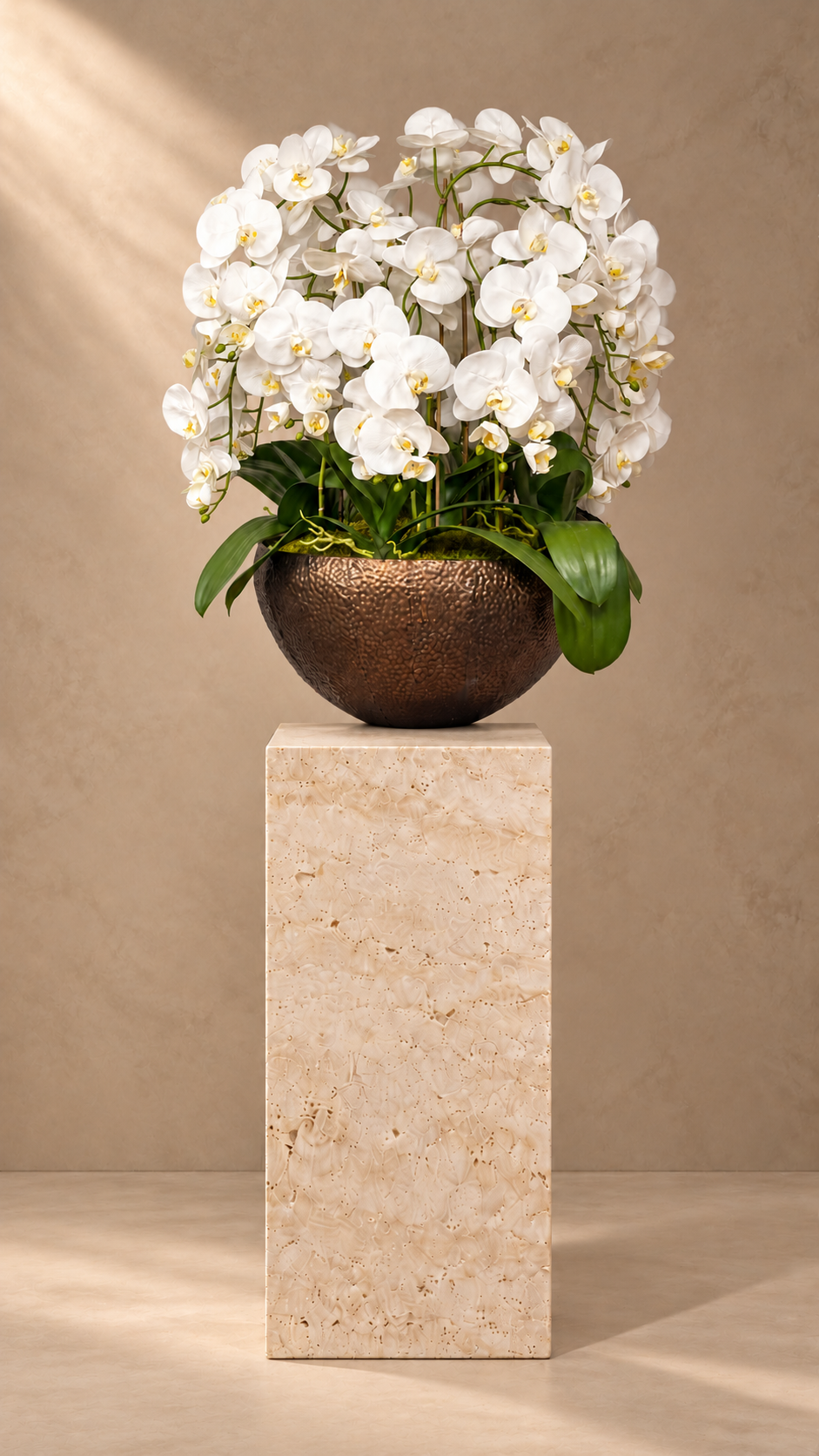 The Bronze Orchid