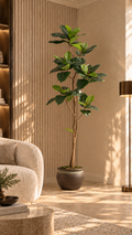 210cm Fire-Rated Ficus Elastica Tree in Black Round Planter