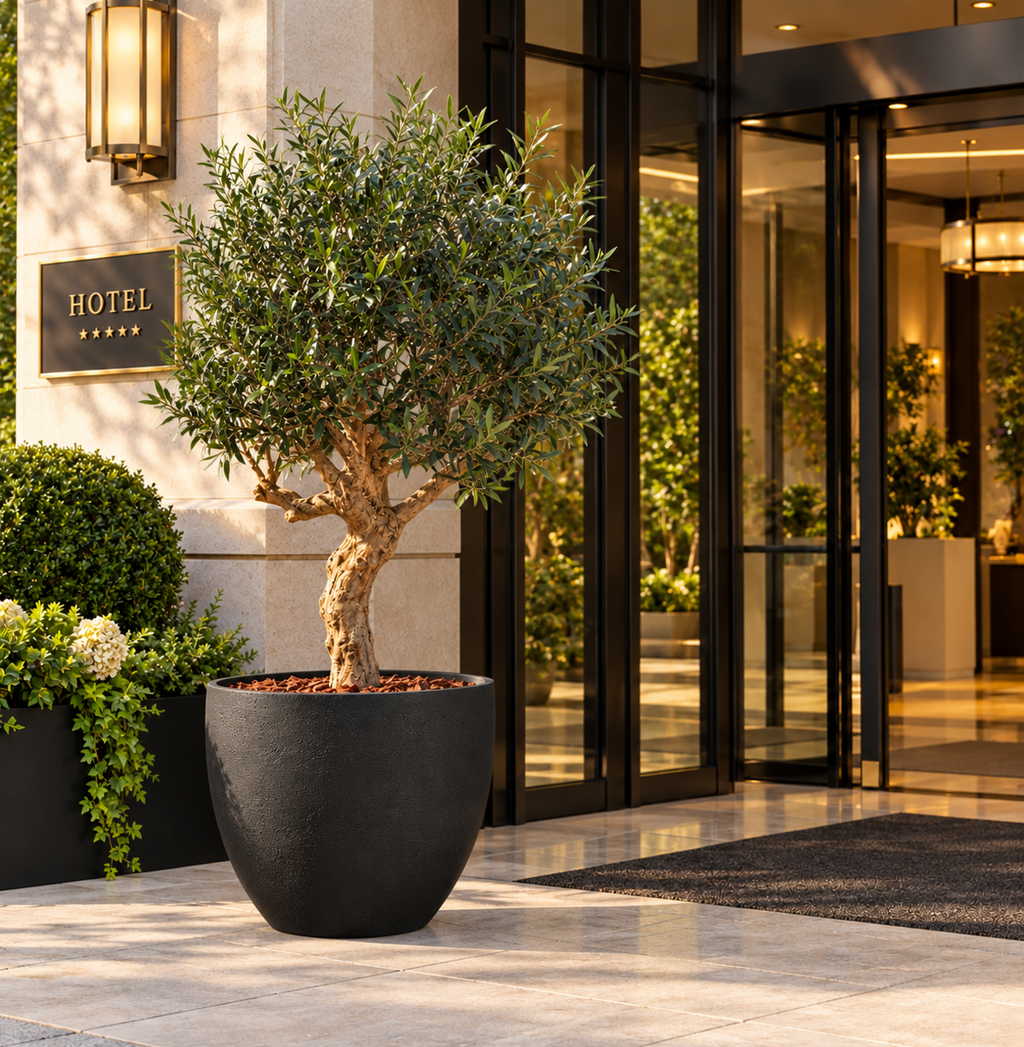 2m Artificial Olive Tree for Indoors and Out UV &FR