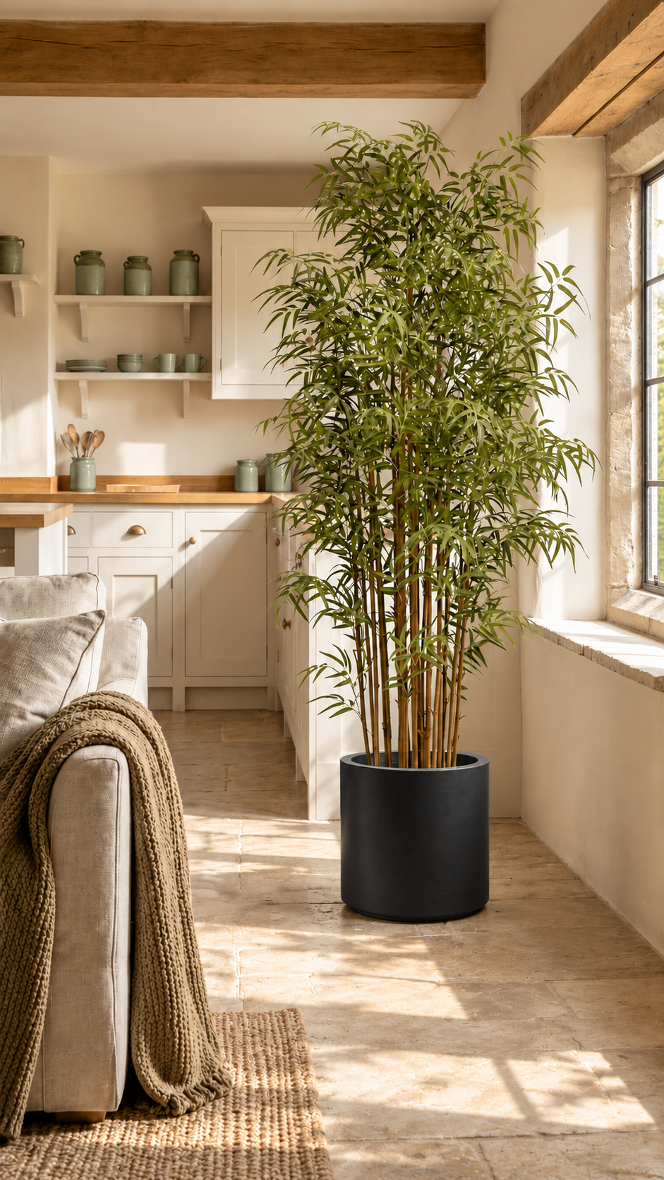 210cm Japanese Bamboo Tree in Black Planter