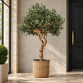 Artificial Olive Tree 200cm | Natural Trunk FireSilx