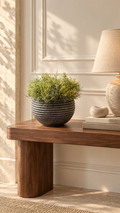 Coral plant in Twizzel planter 36cm