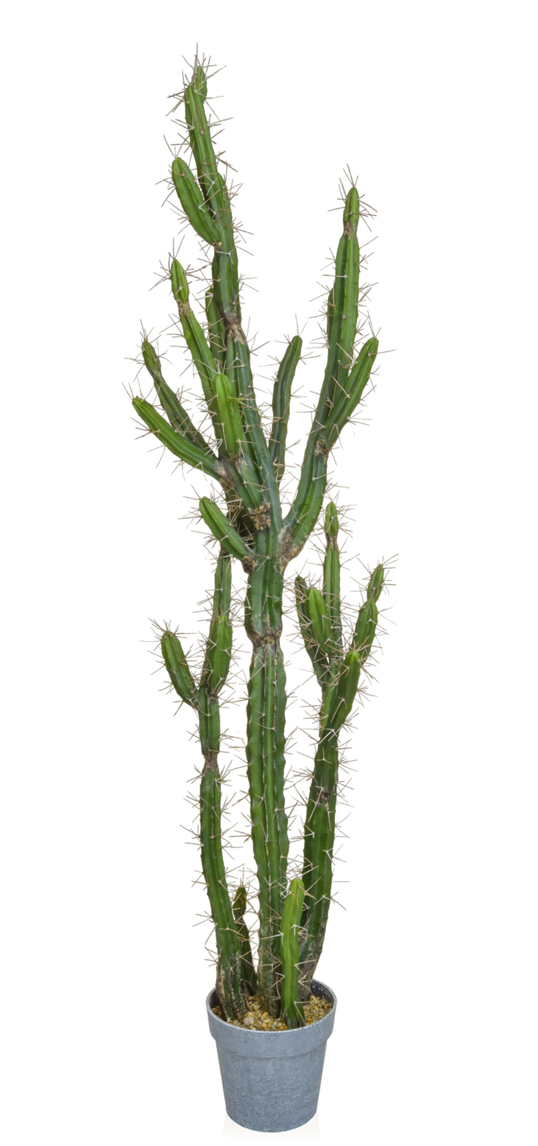 The Spikey