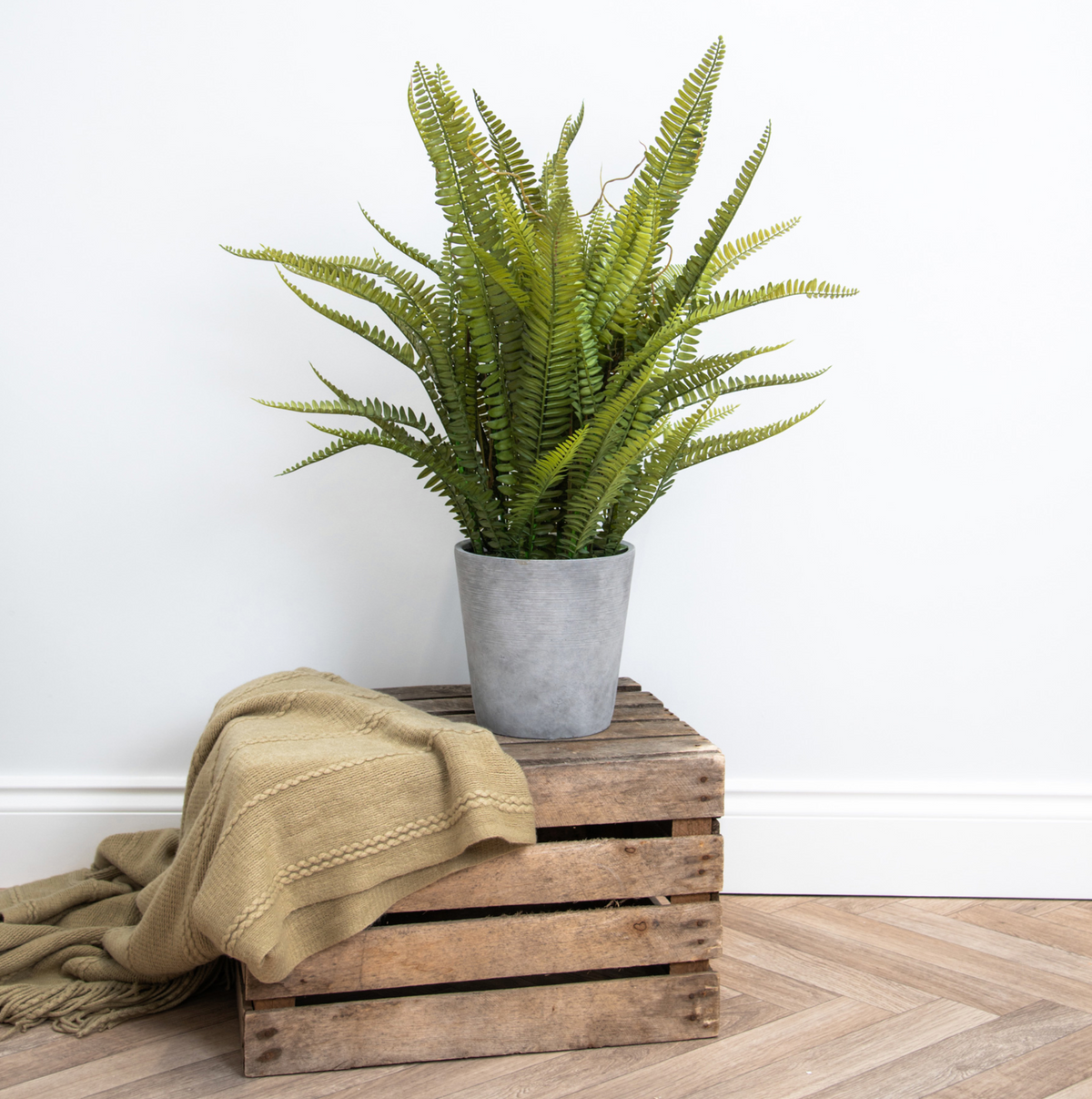 Fern Planter 80cm