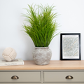 Grass in Stone Planter