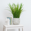 Tall Grass Planter 42cm