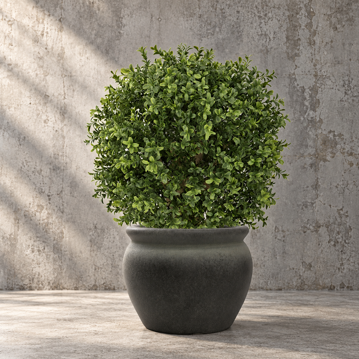 Artificial Buxus Ball in Cragside Planter 60cm