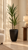 150cm real-touch Yucca plant in Budle planter