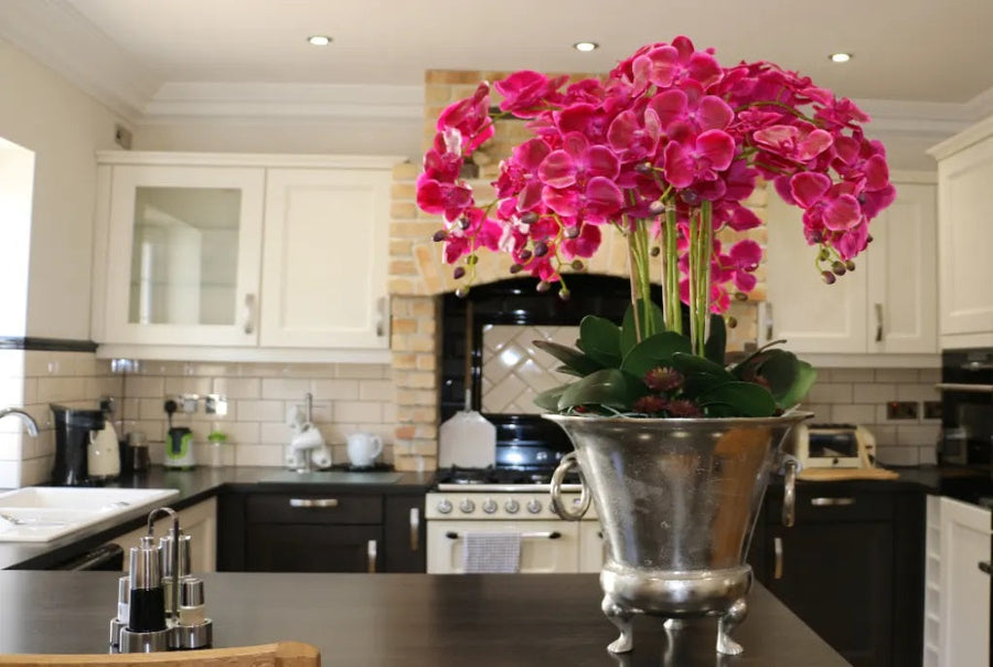 Show homes